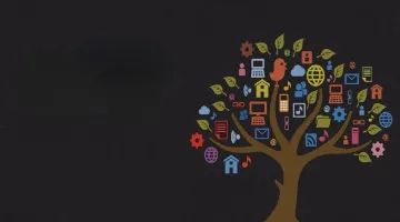 宠粉！搞钱！金融机构的小红书“赶考路”