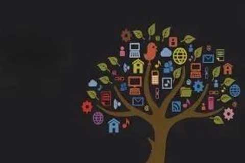 奇富科技2024年净利润增长46.36%，平台服务收入增长19.67%